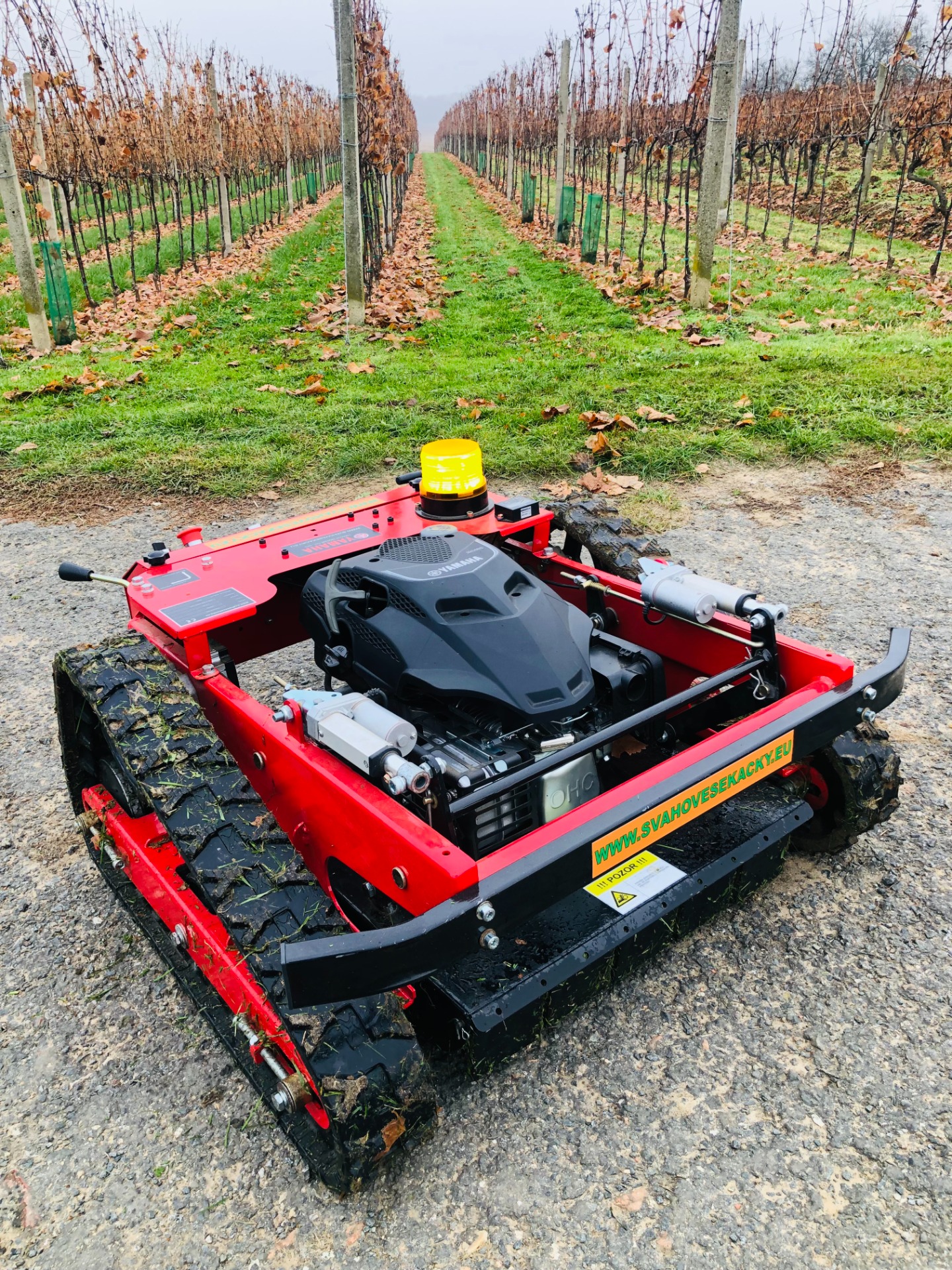 Lawn Mower - Demo model